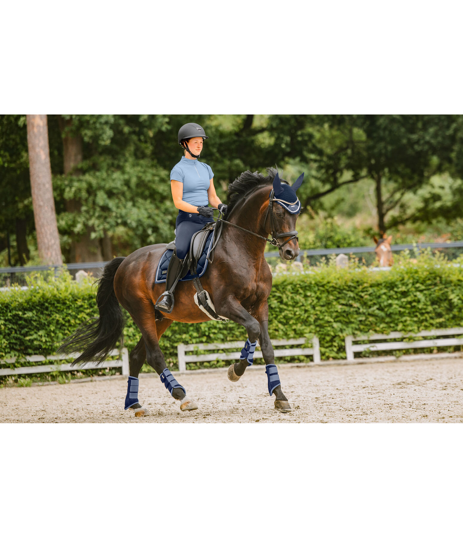 Stinchiere funzionali Swiss Design, posteriori