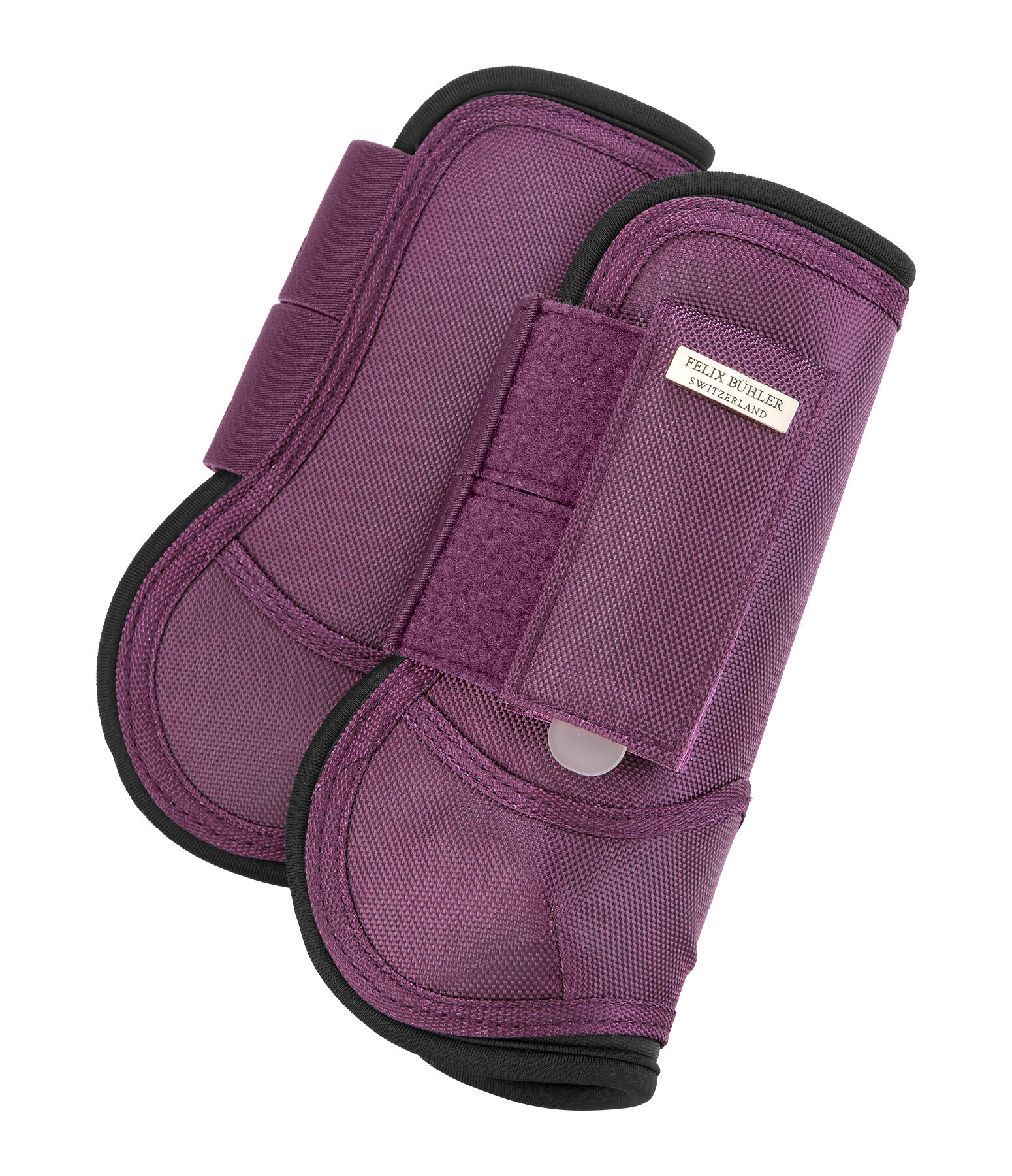 Paratendini Sophistication