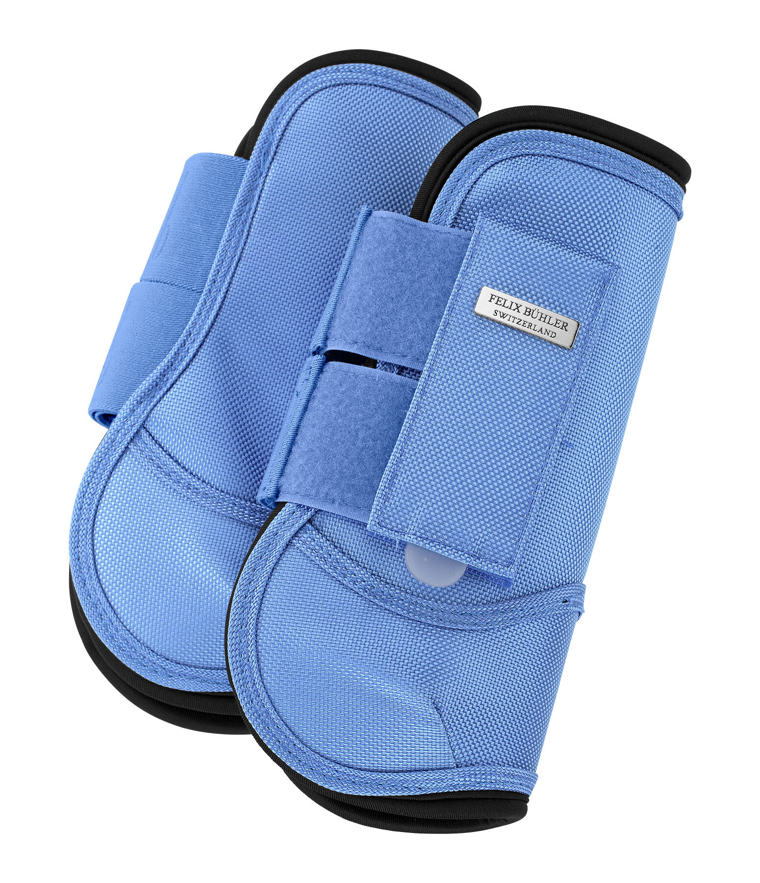 Paratendini Sophistication