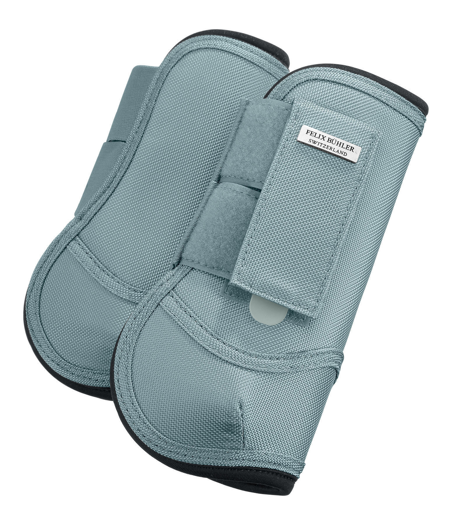 Paratendini Sophistication