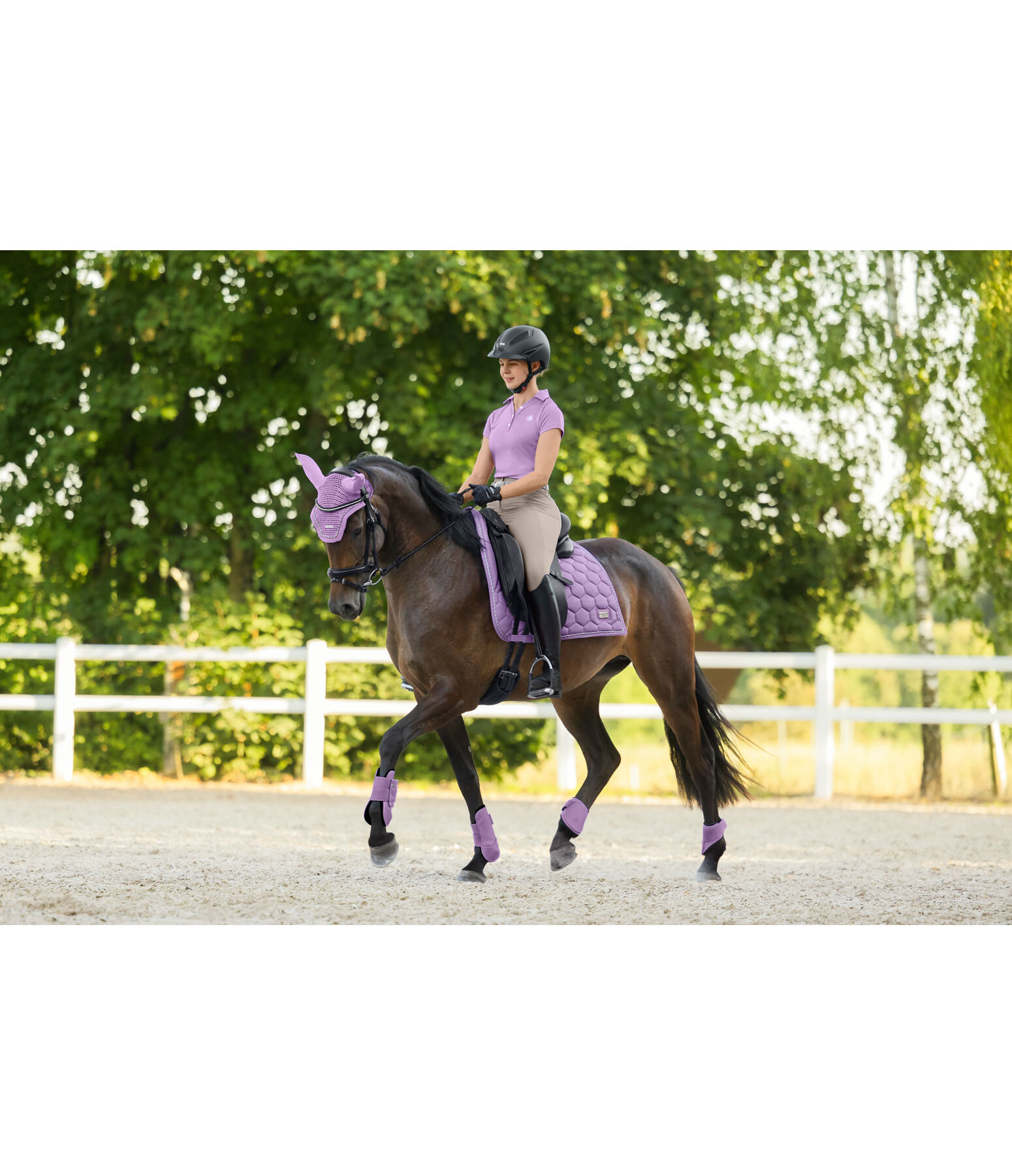 Paranocche Sophistication