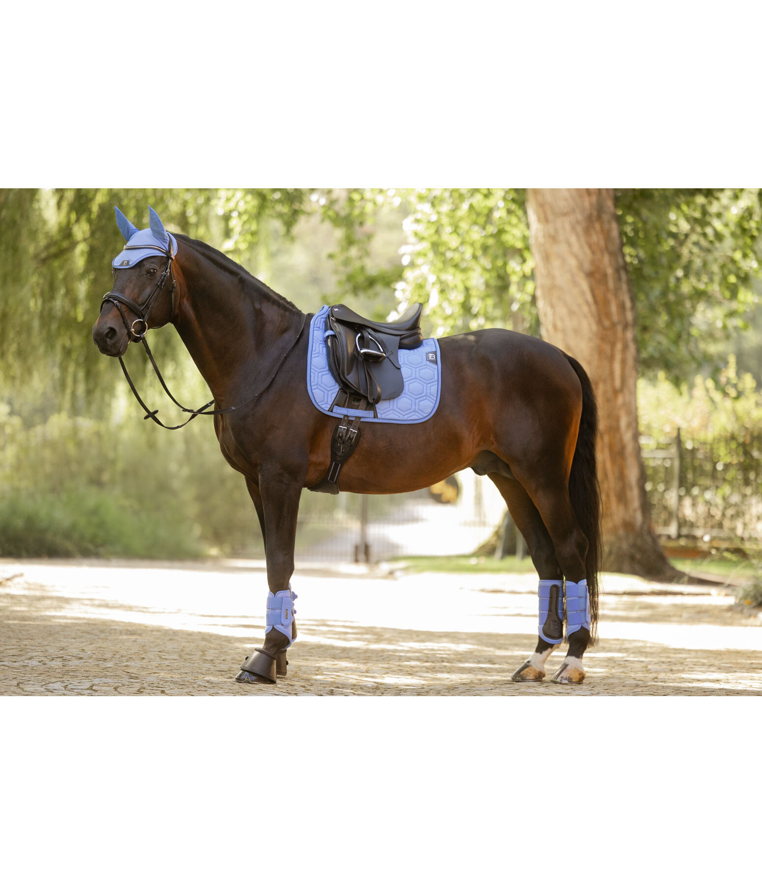 Stinchiere funzionali Mesh-Technology, anteriori