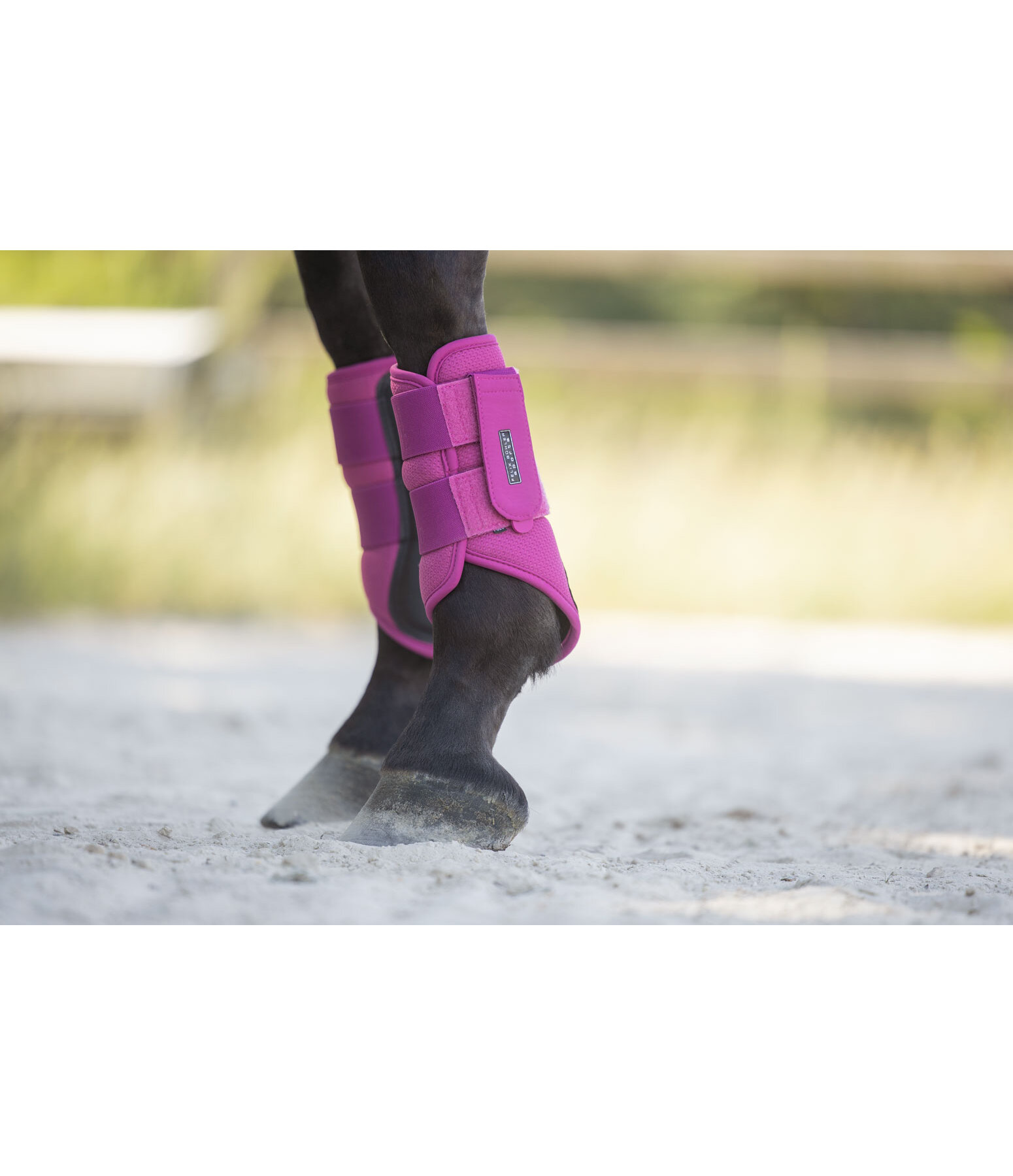 Stinchiere funzionali Mesh-Technology, anteriori