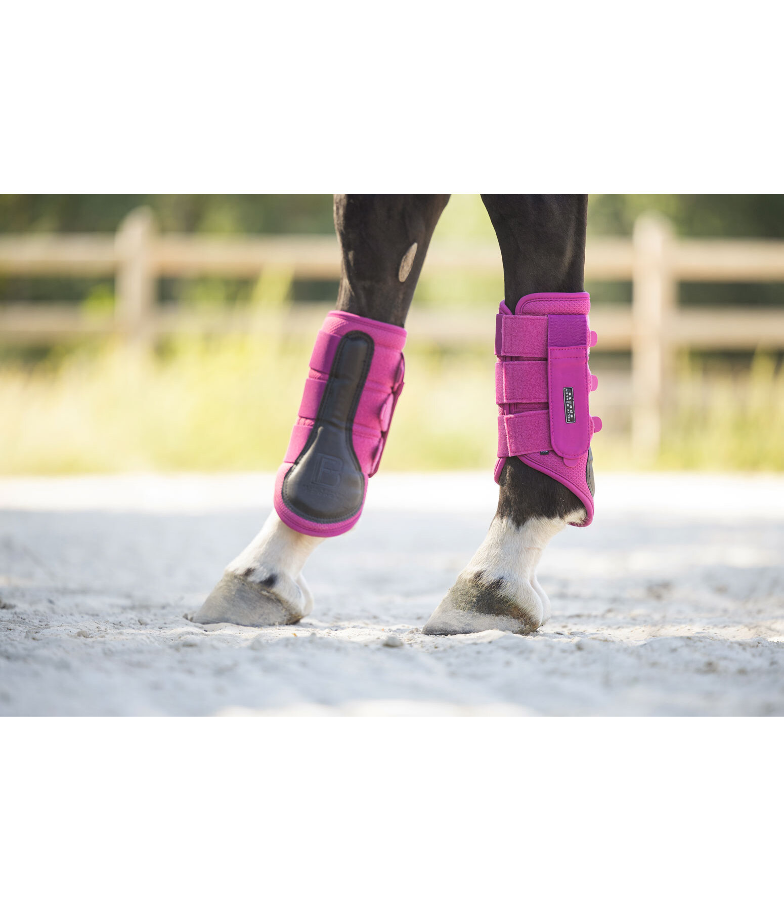 Stinchiere funzionali Mesh-Technology, posteriori