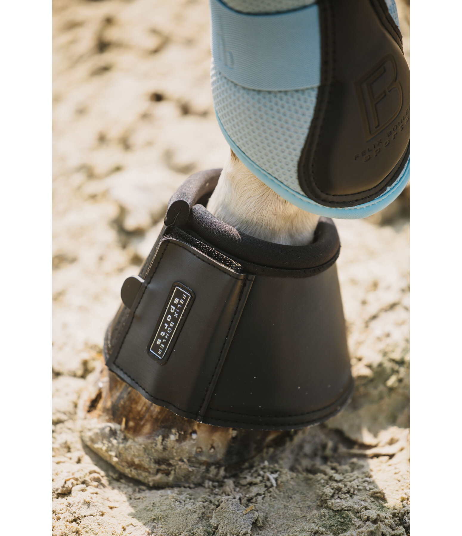 Paraglomi Technology