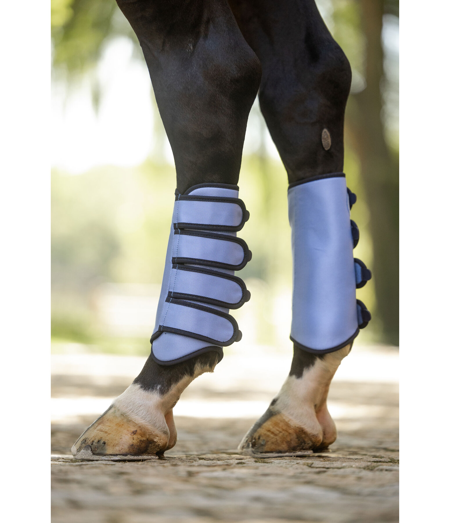 Stinchiere da dressage Twotone, posteriori