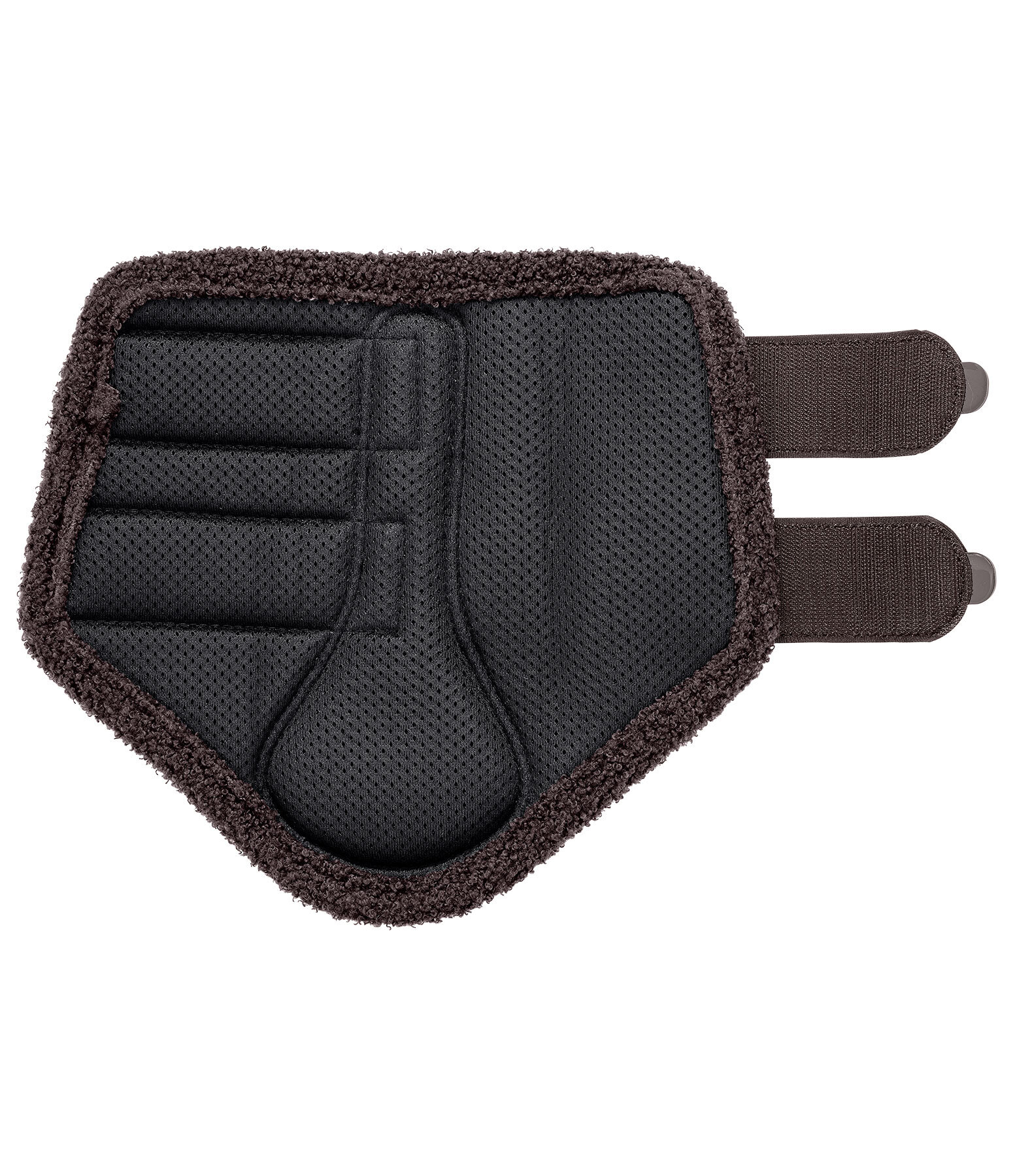 Stinchiere Teddy, anteriori