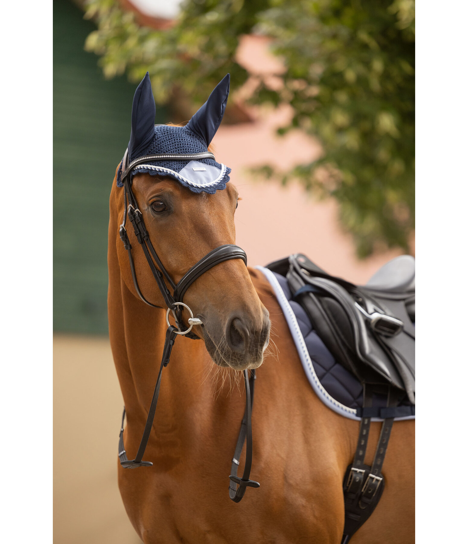 Cuffietta Swiss Design