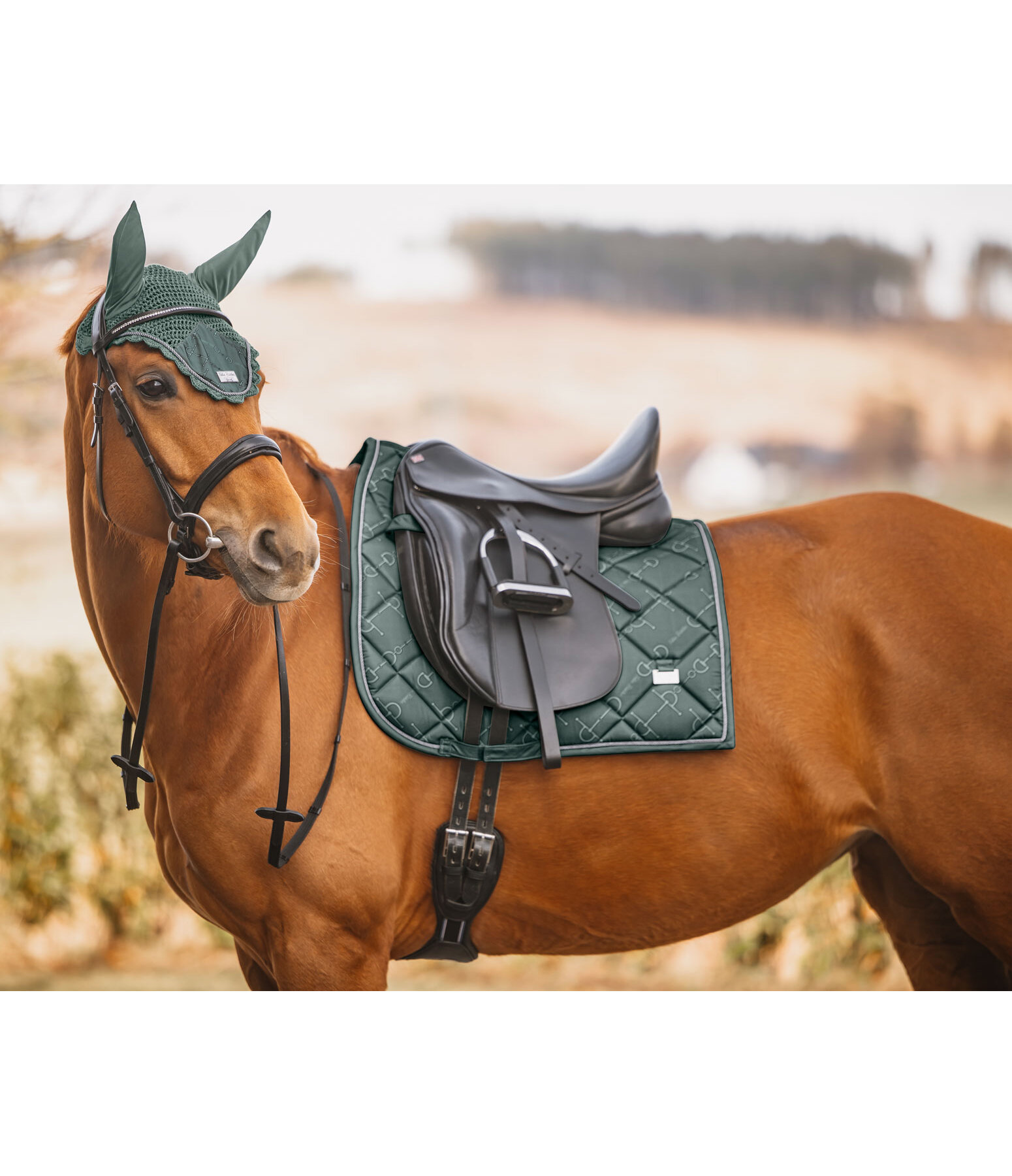 Cuffietta Signature II