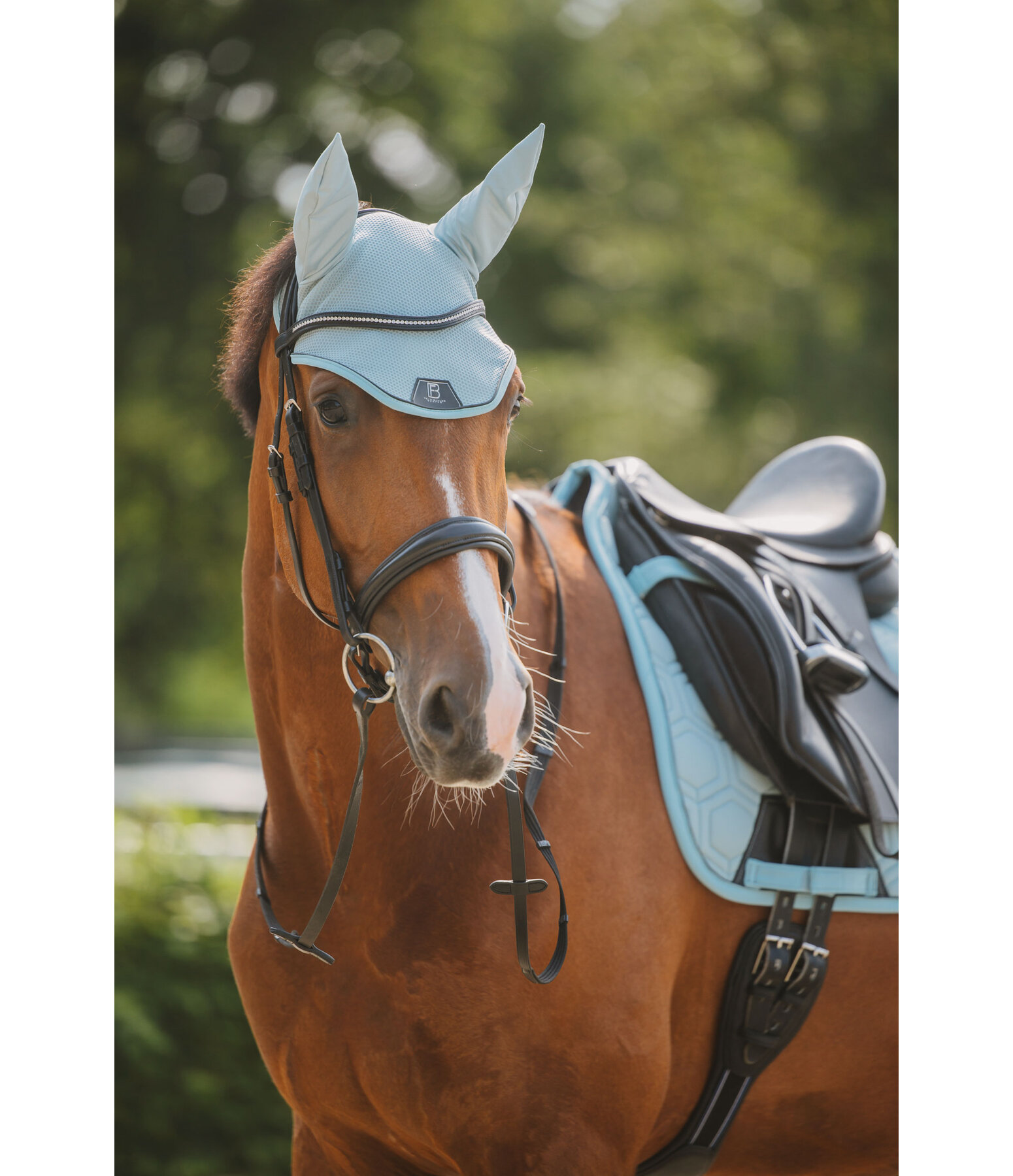 Cuffietta Mesh-Technology