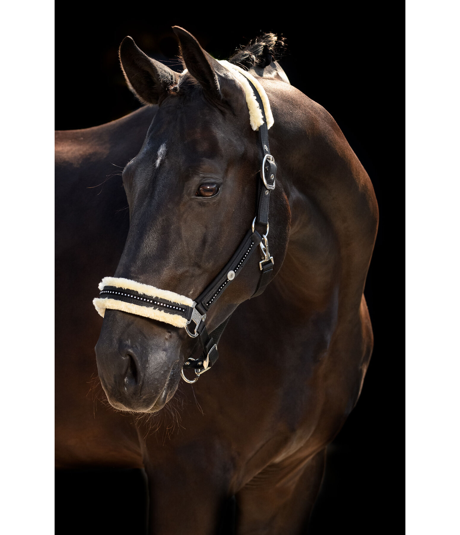 Capezza Luxury Diamonds