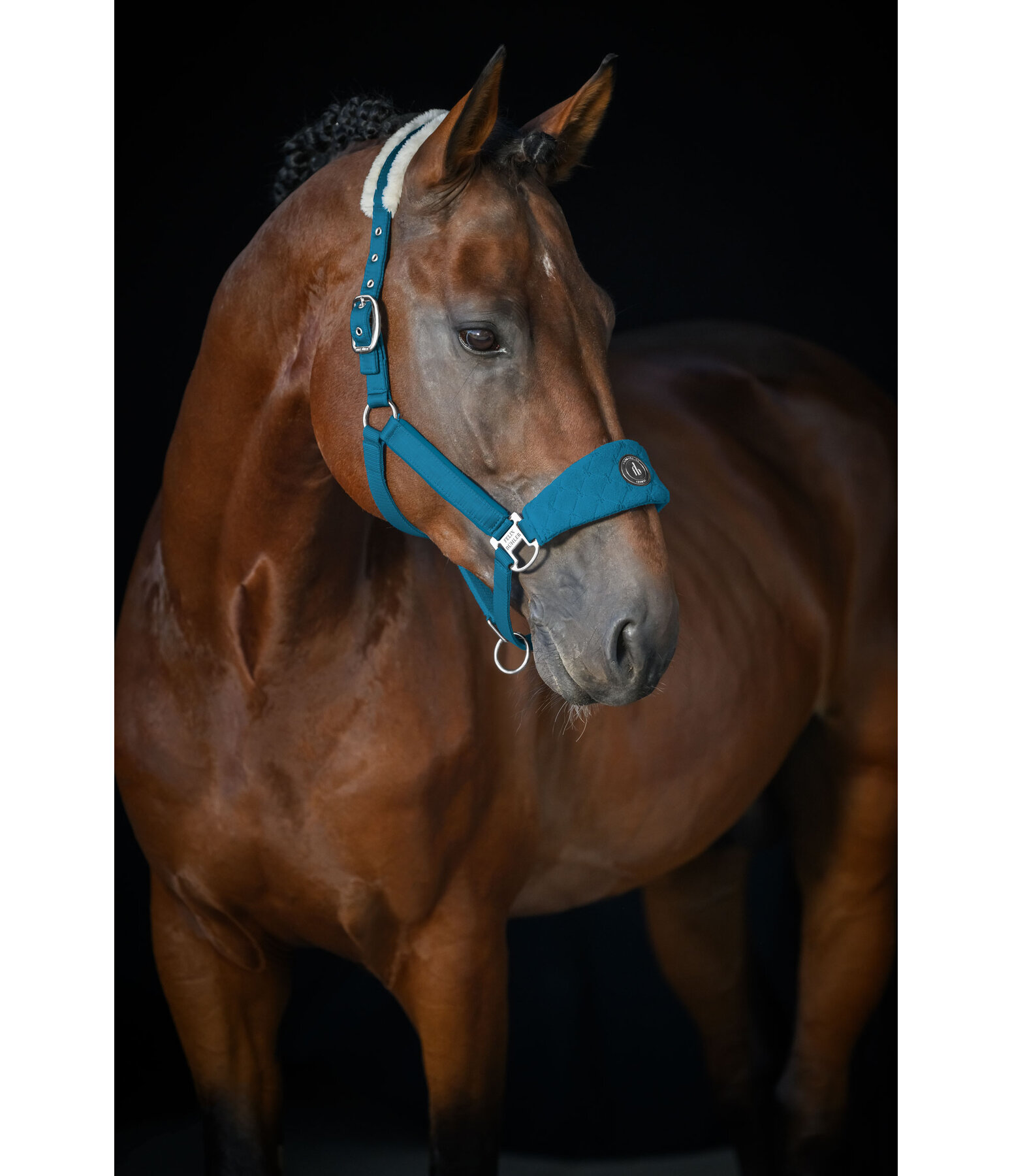 Capezza con pelliccia sintetica Equestrian Sports