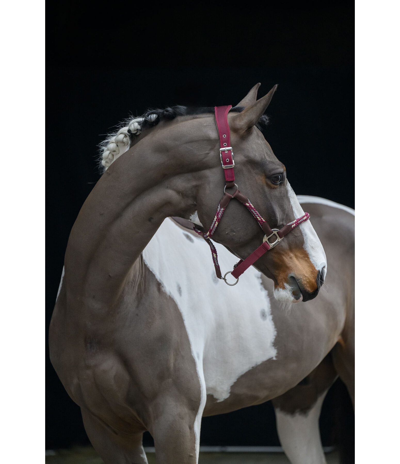 Capezza anatomica Sophistication