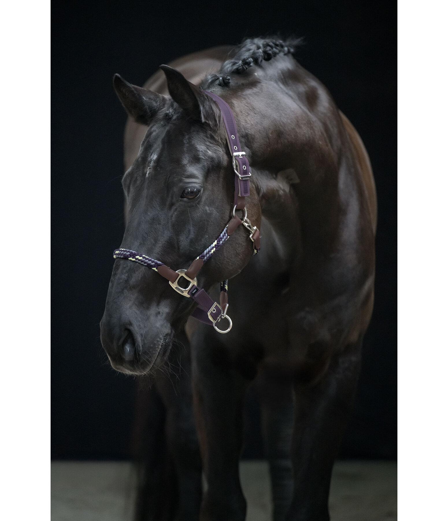 Capezza anatomica Sophistication