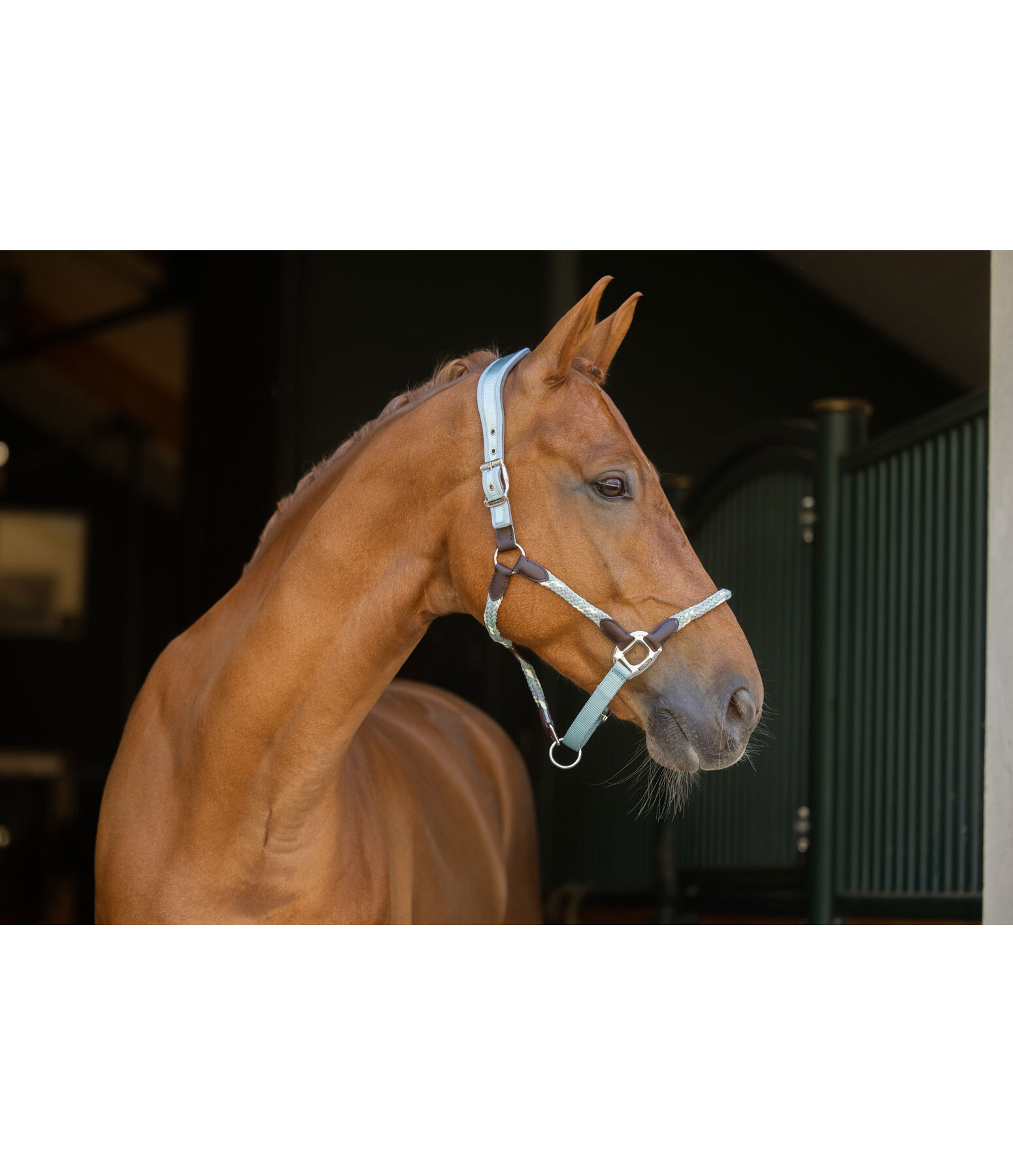 Capezza anatomica Sophistication