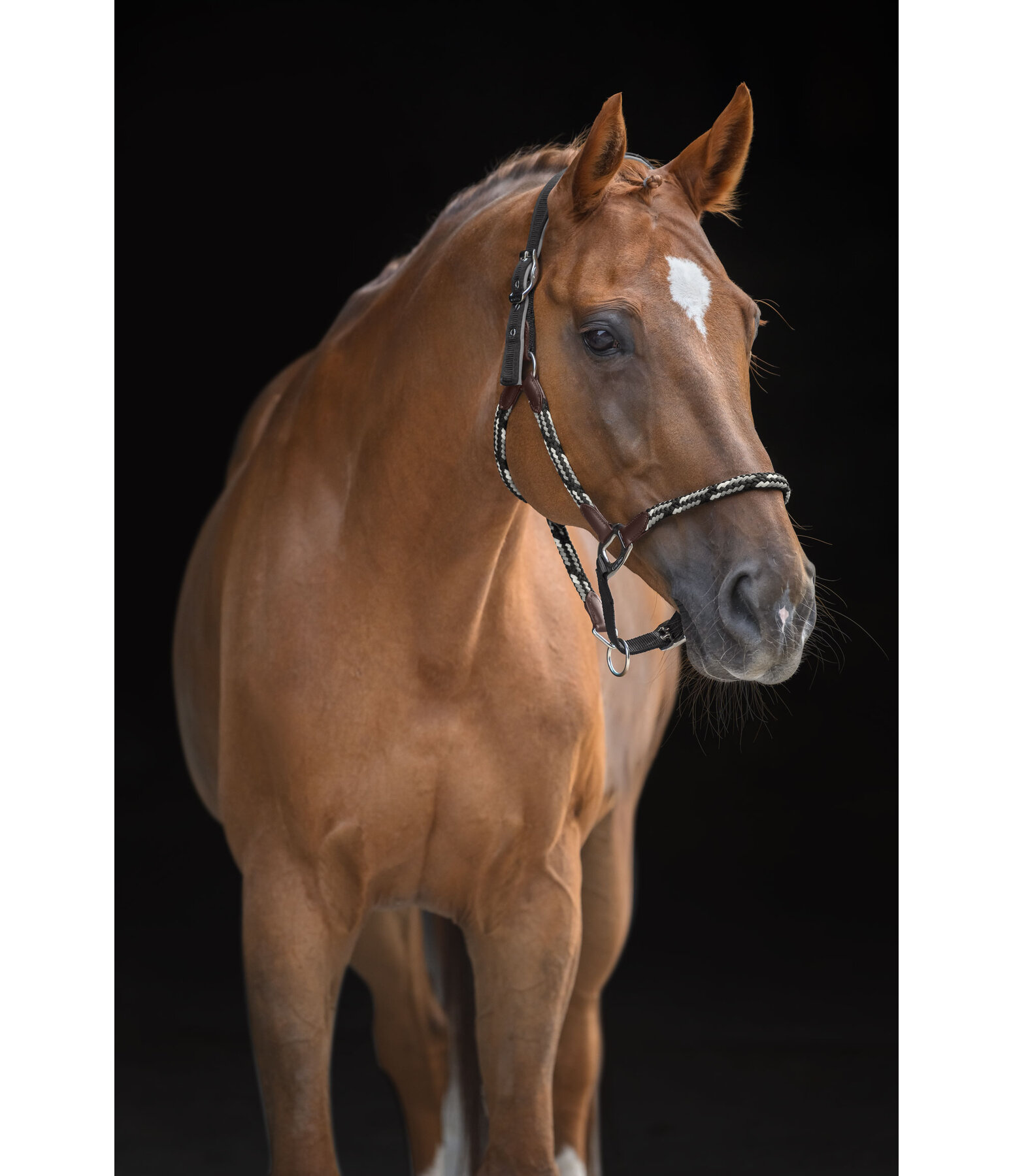 Capezza anatomica Sophistication