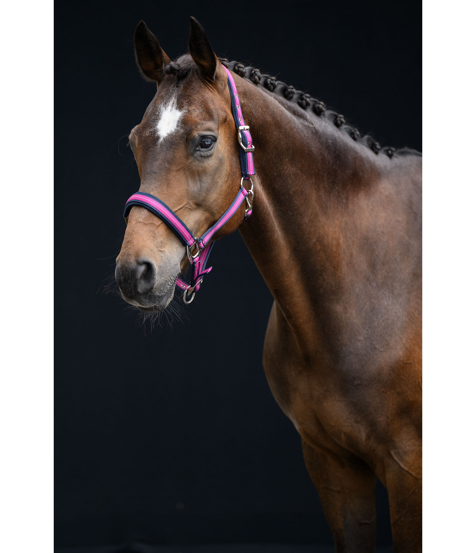 Capezza Swiss Design II