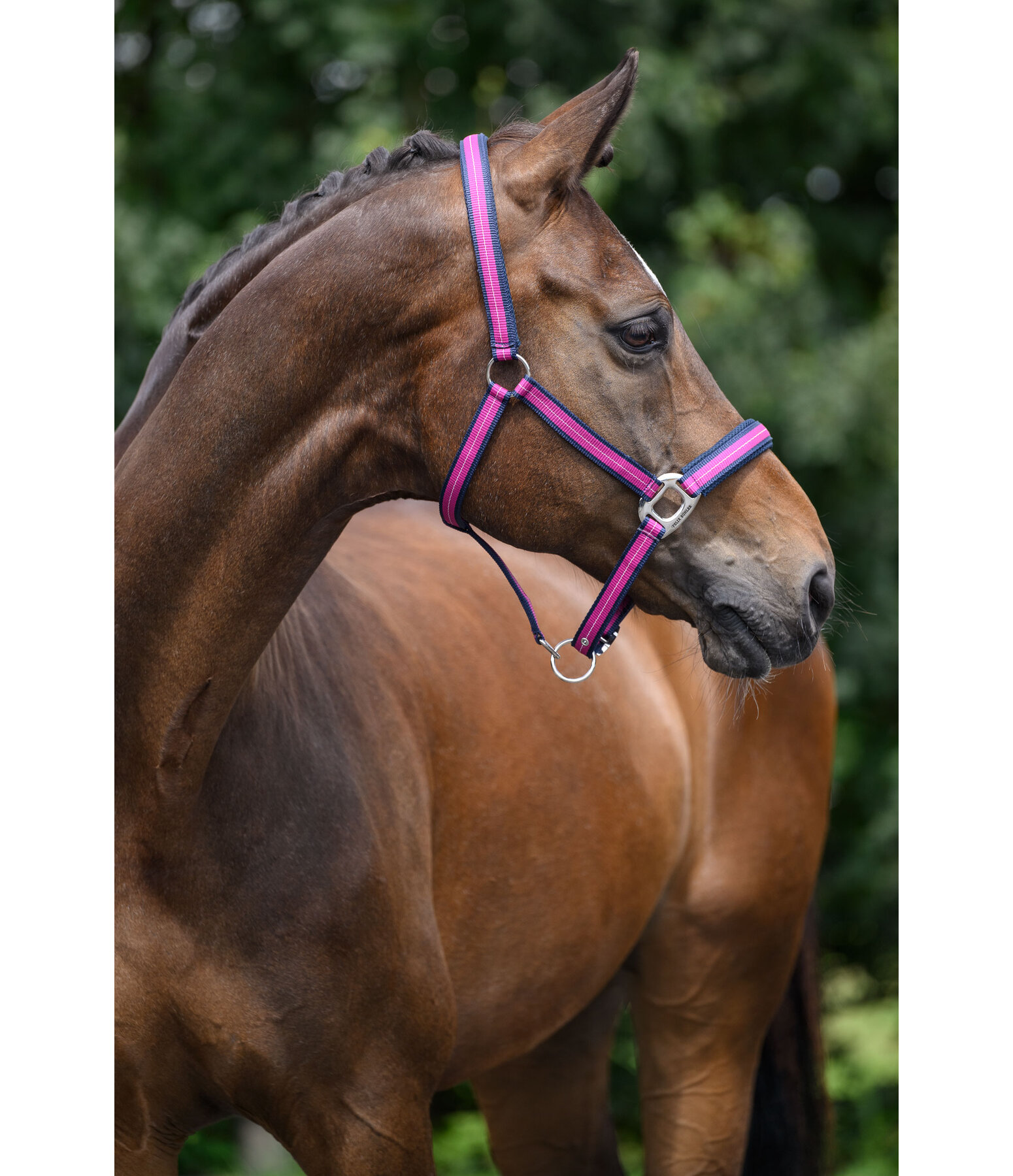 Capezza Swiss Design II