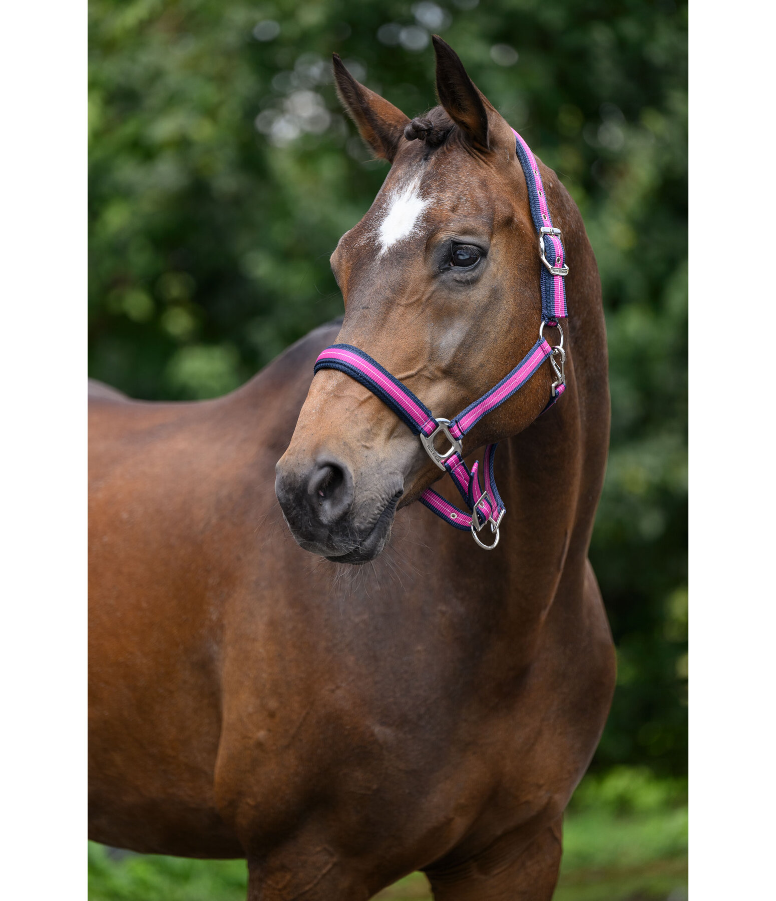 Capezza Swiss Design II