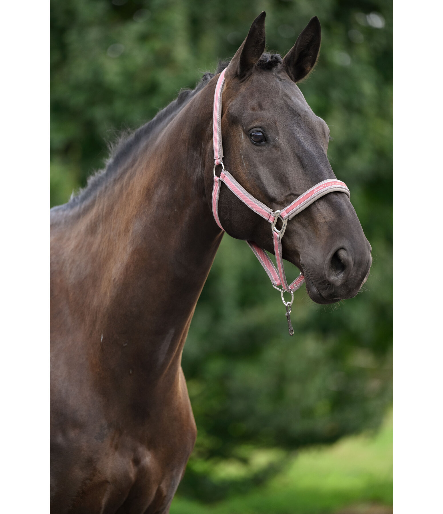 Capezza Essential II