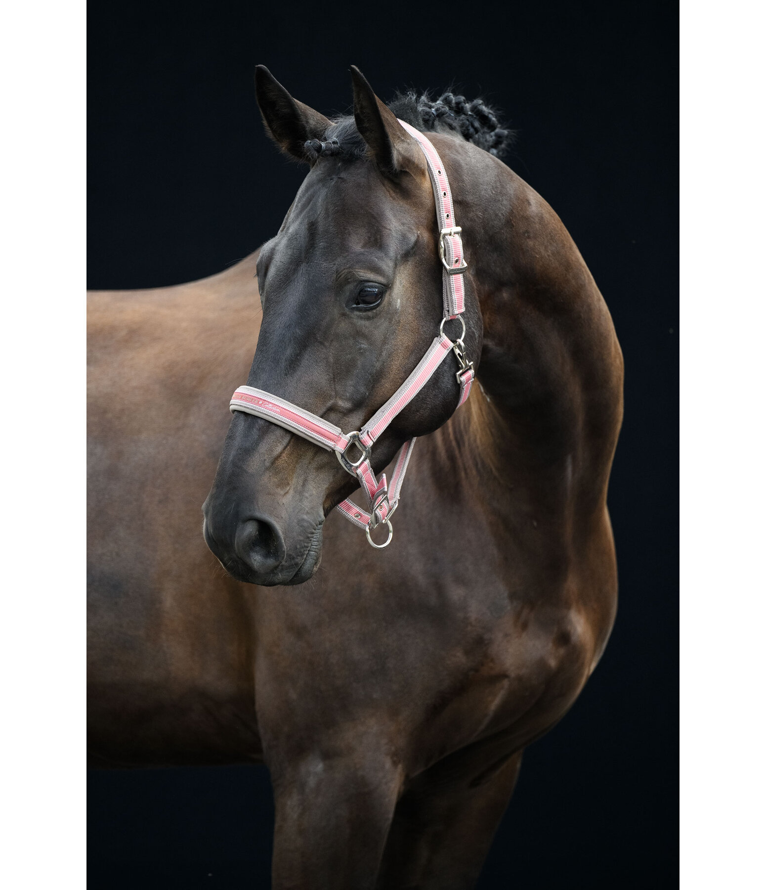 Capezza Essential II