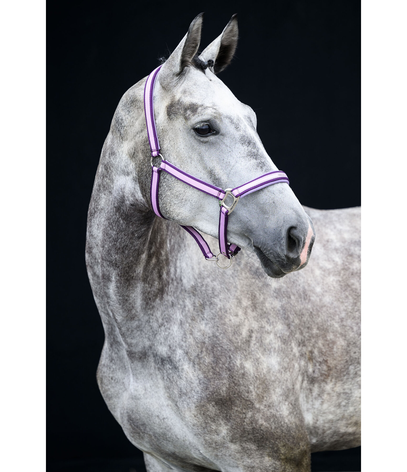 Capezza Essential II