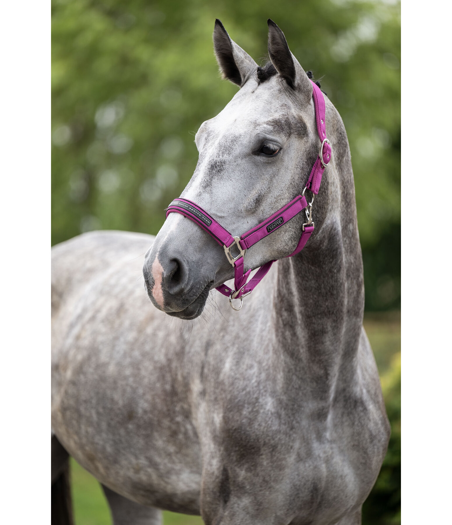 Capezza Mesh-Technology