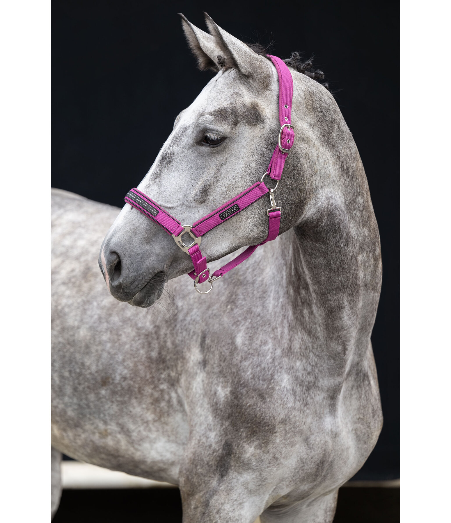 Capezza Mesh-Technology