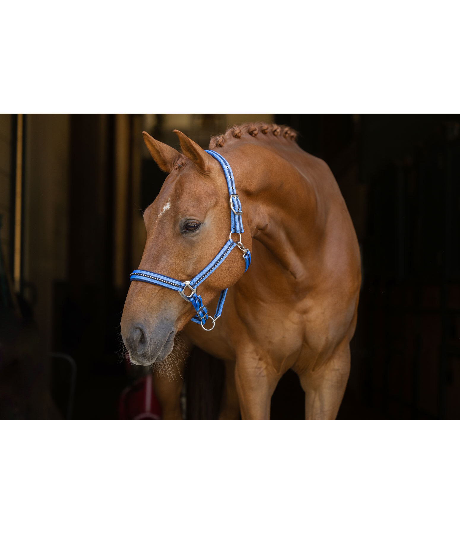 Capezza Twotone & Crystal