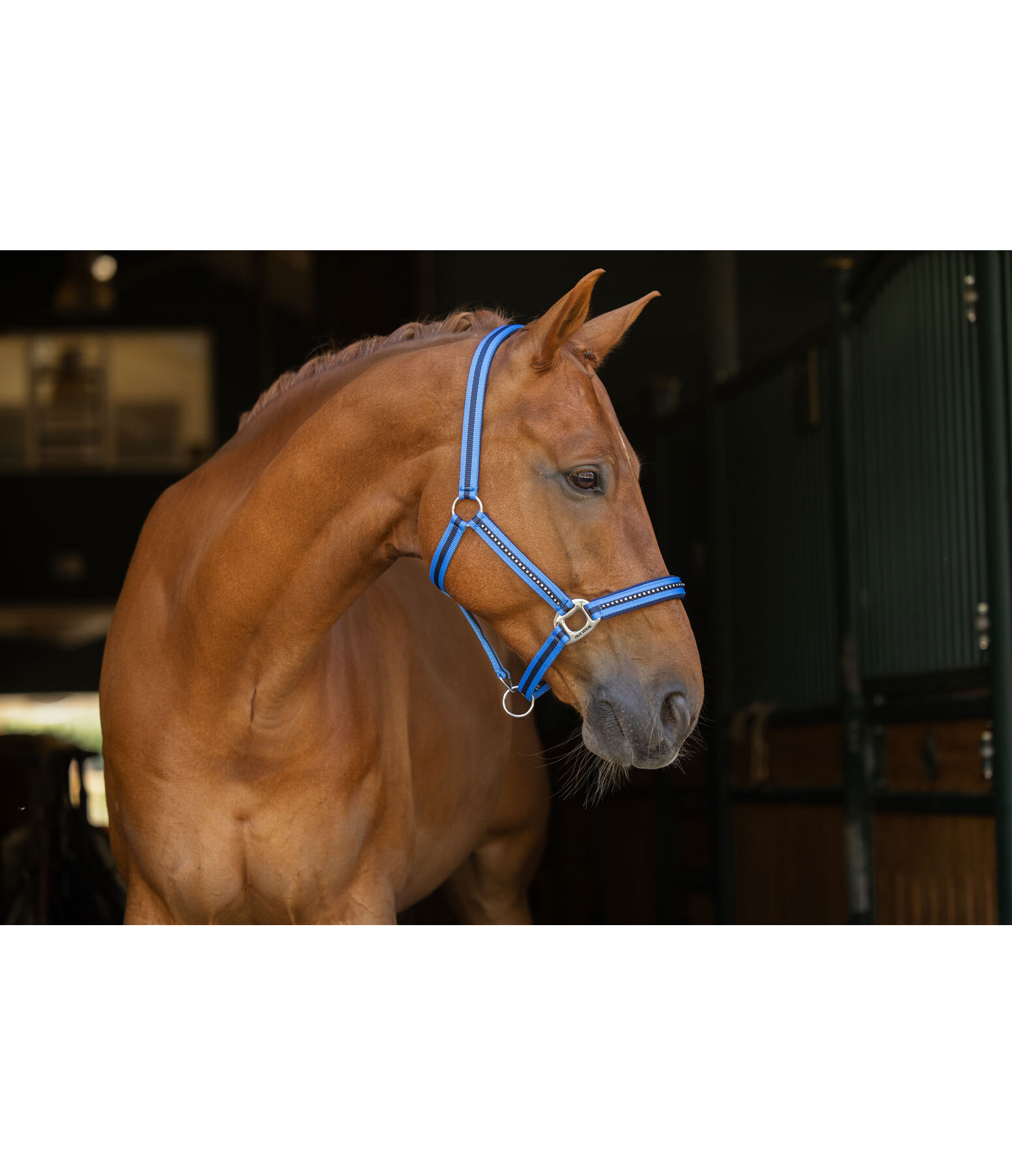 Capezza Twotone & Crystal