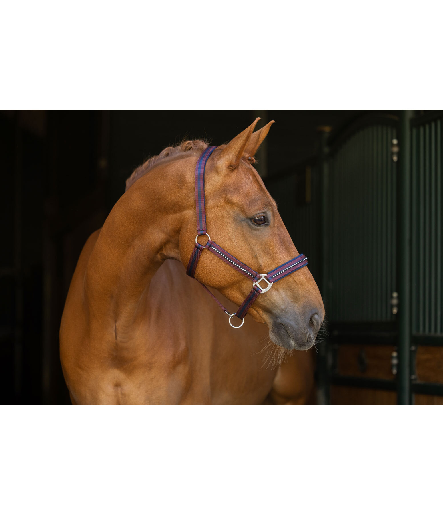 Capezza Twotone & Crystal