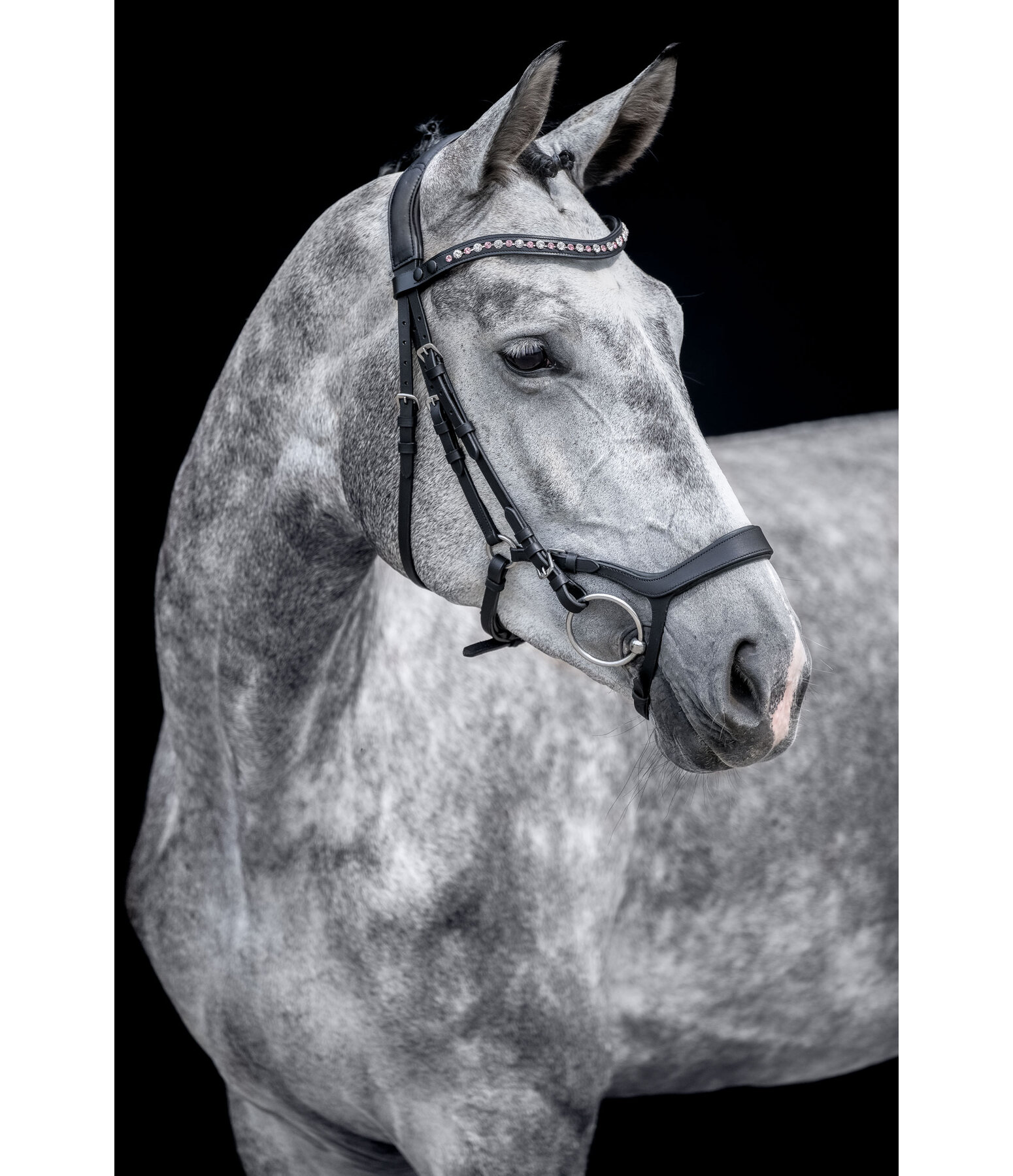 Mix & Match Capezzina in cuoio oliato Revolution