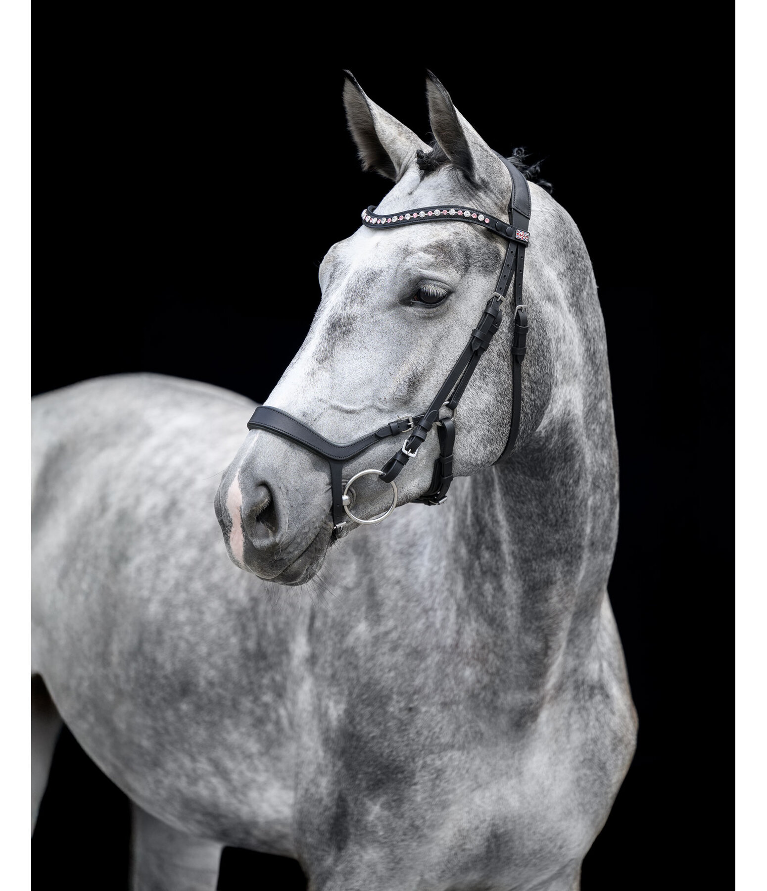 Mix & Match Capezzina in cuoio oliato Revolution