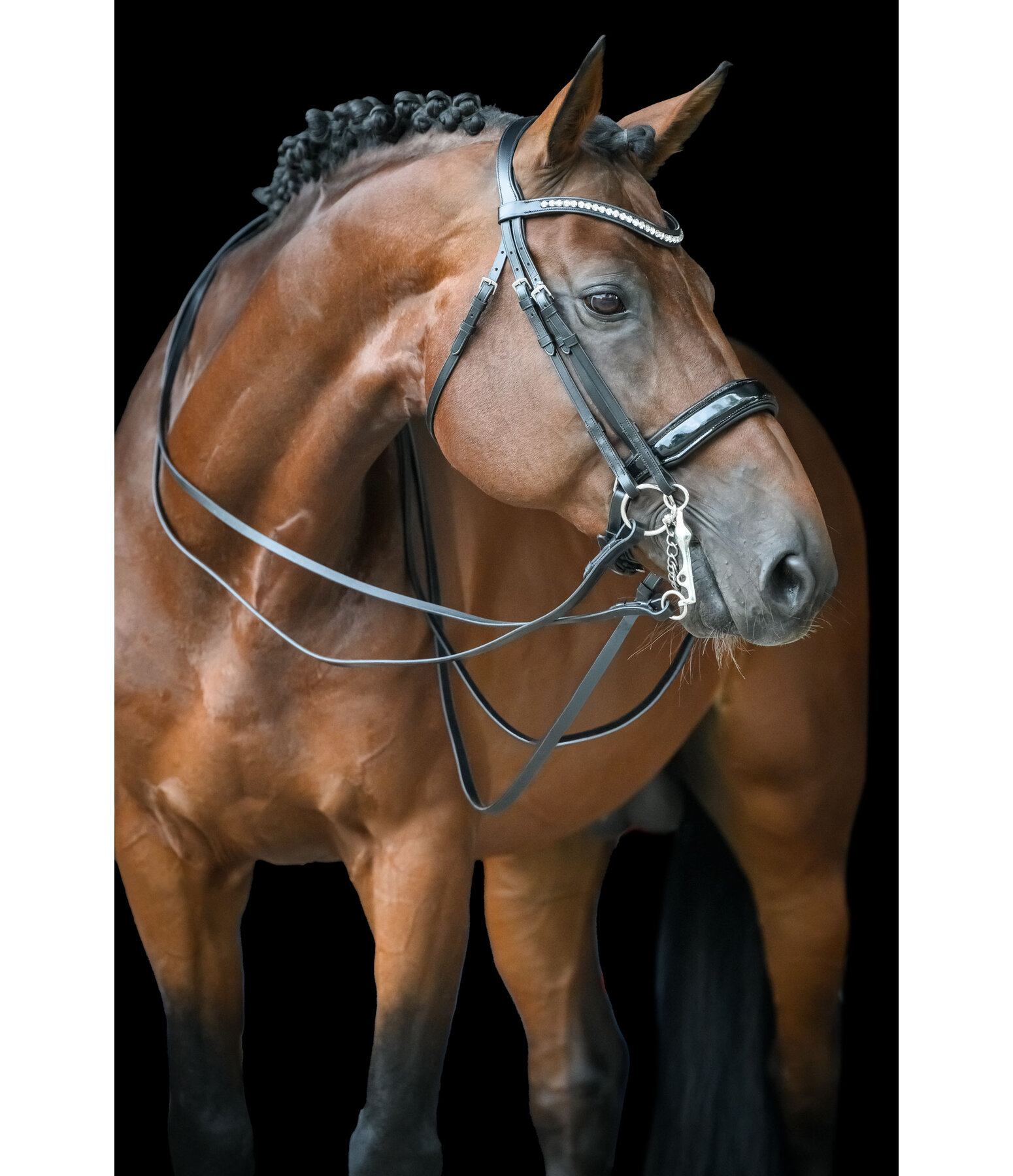 Testiera doppia Dressage II