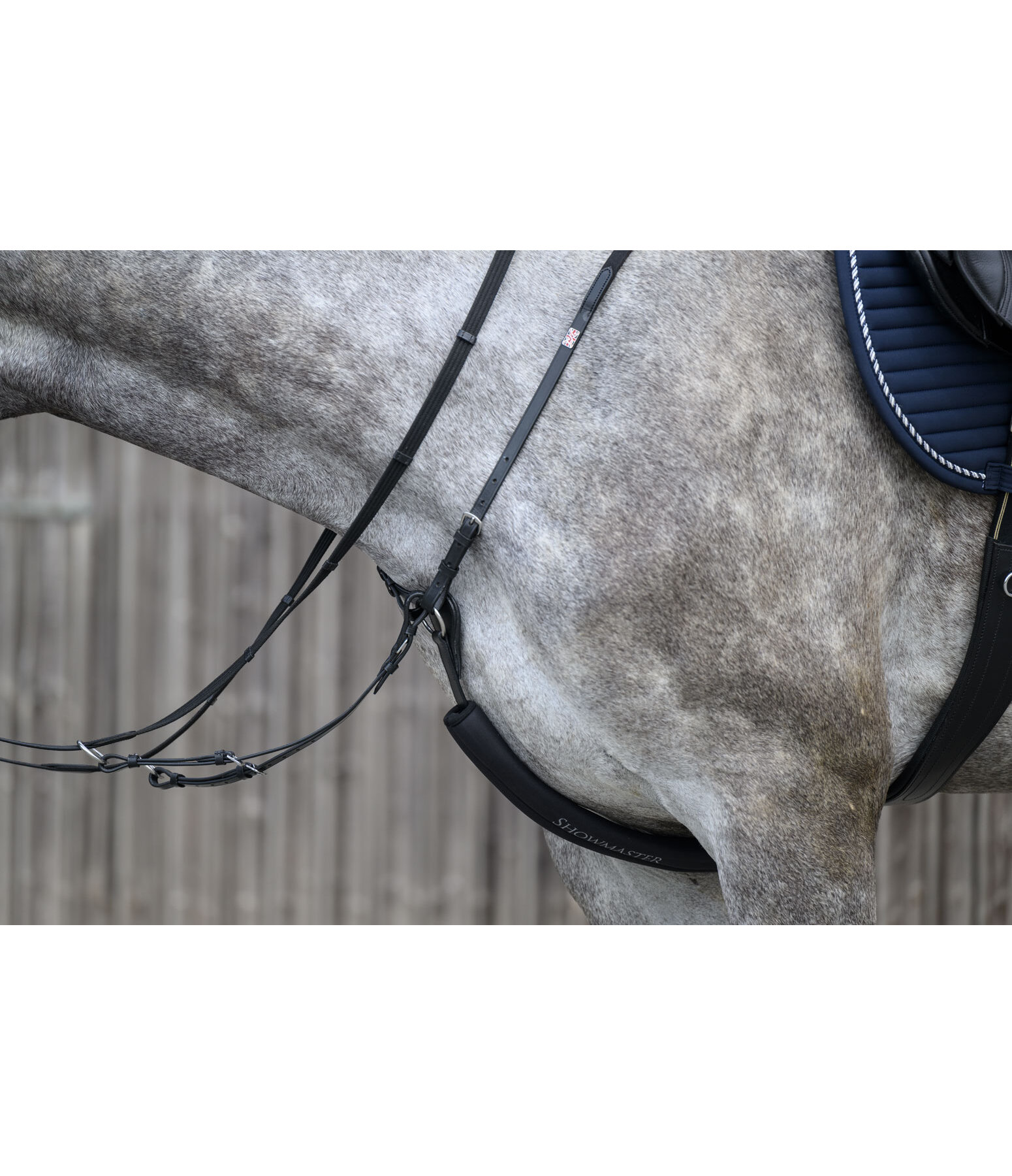 Protezione per pettorale