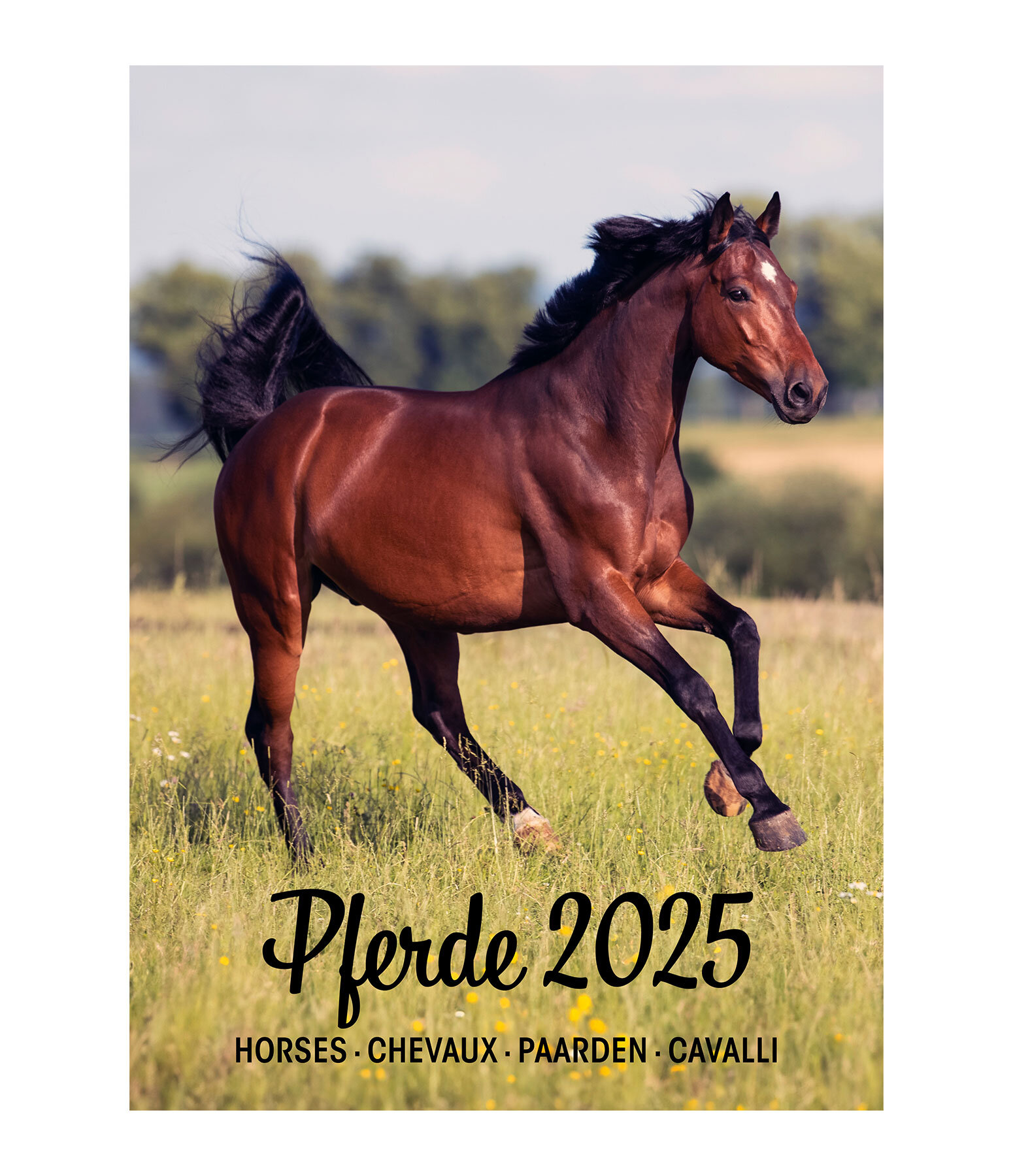 Calendario 2026