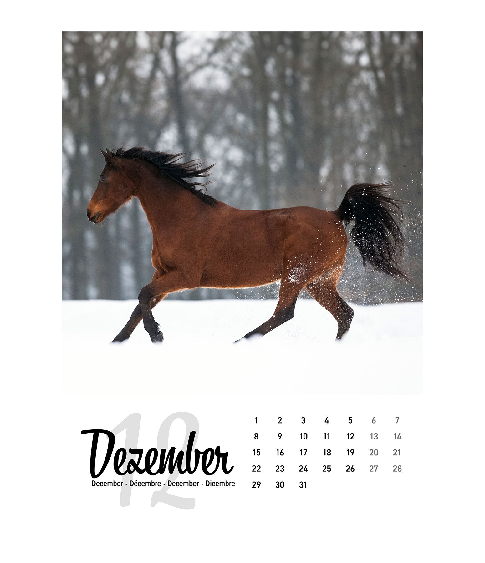 Calendario 2026