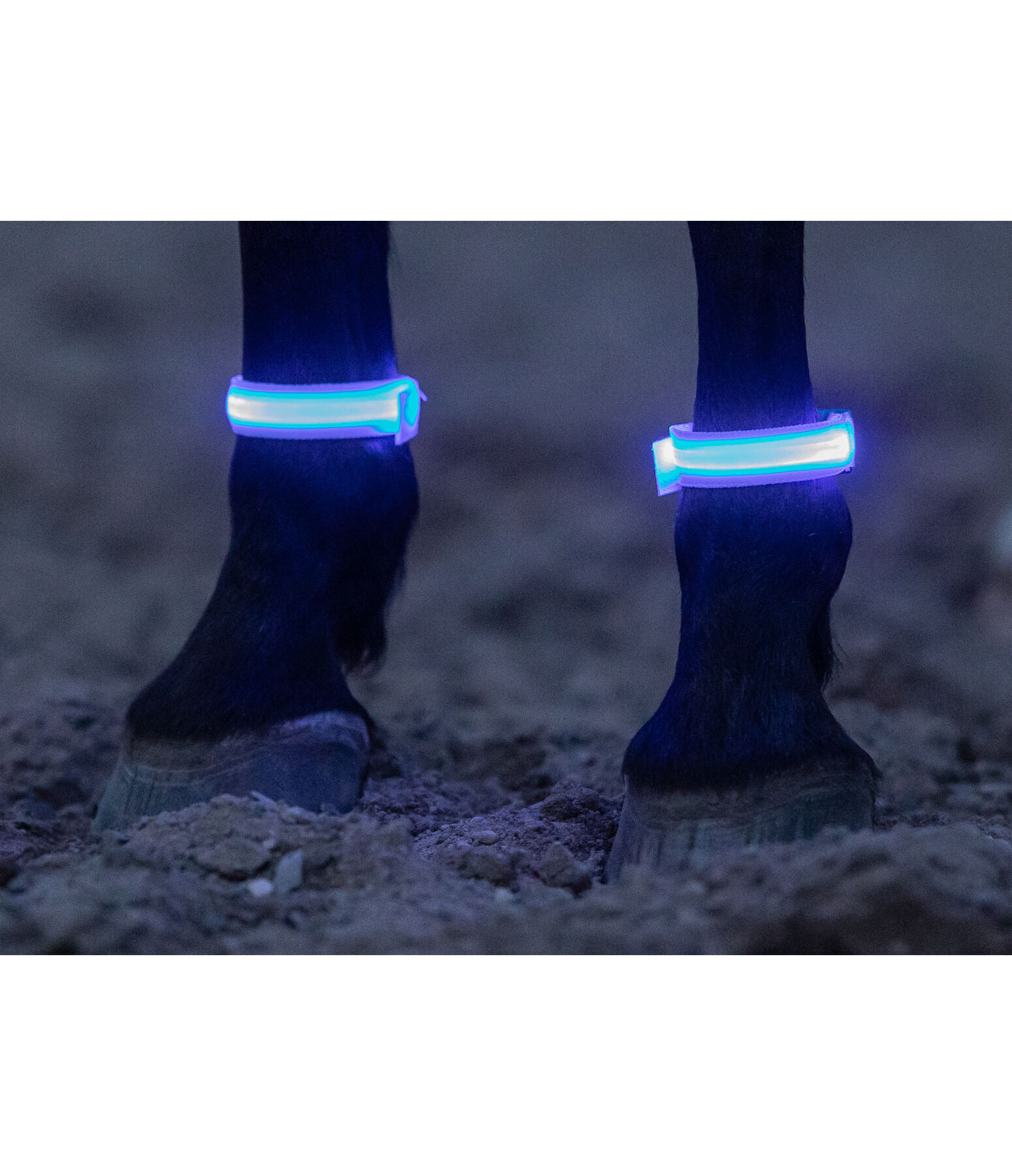 Stinchiere LED Loom
