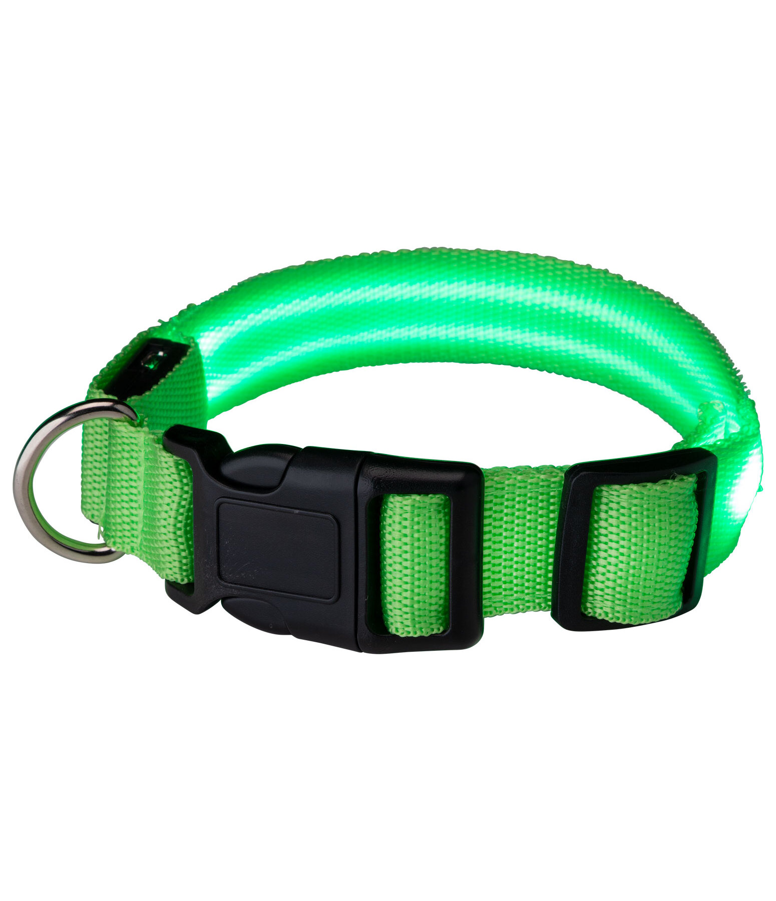 Collare per cani LED Loom