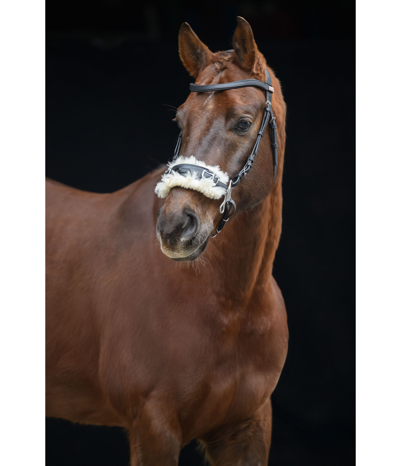 Hackamore con imbottitura in pelliccia