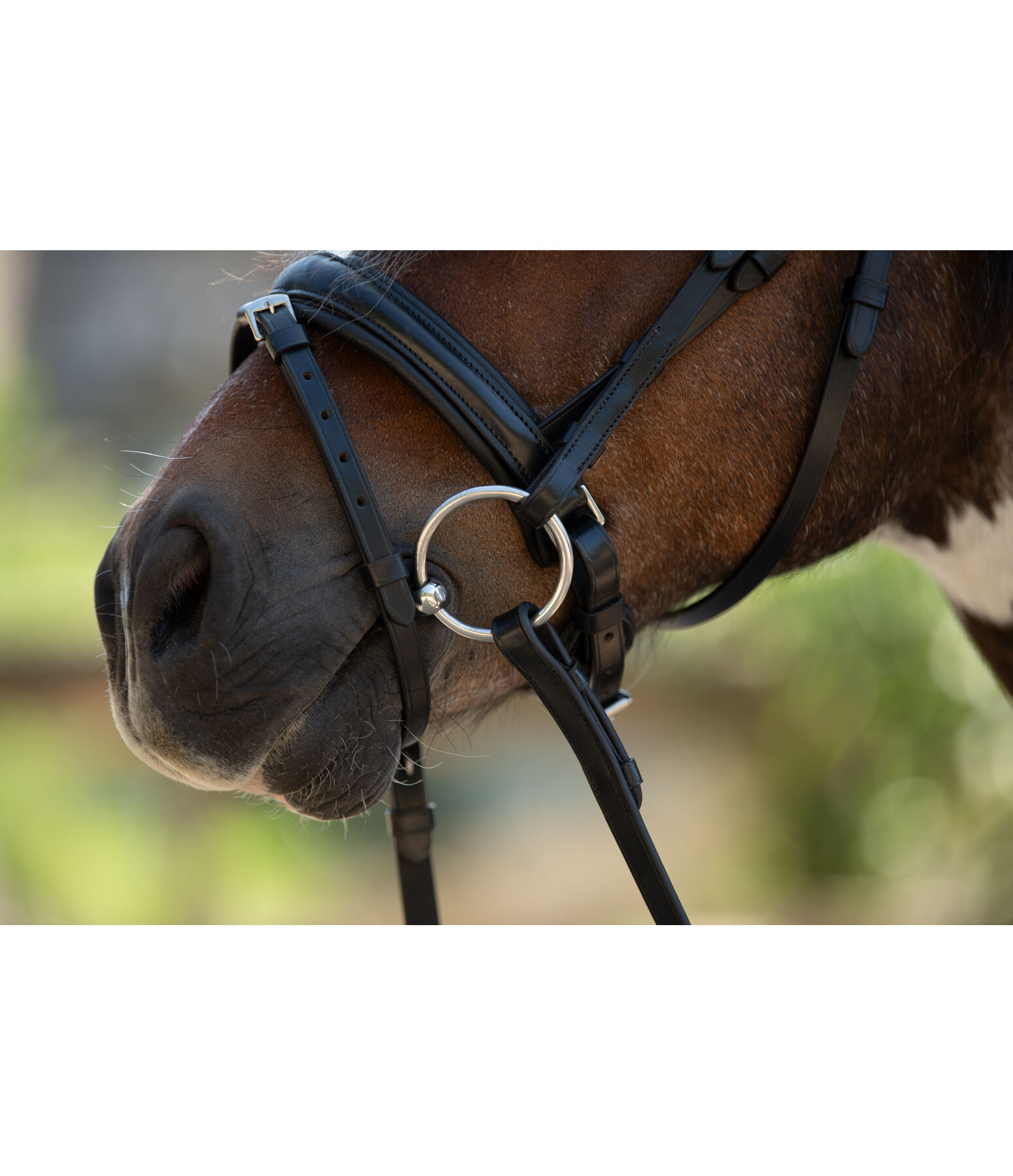 Filetto dressage, snodato in due parti, spessore 12 mm