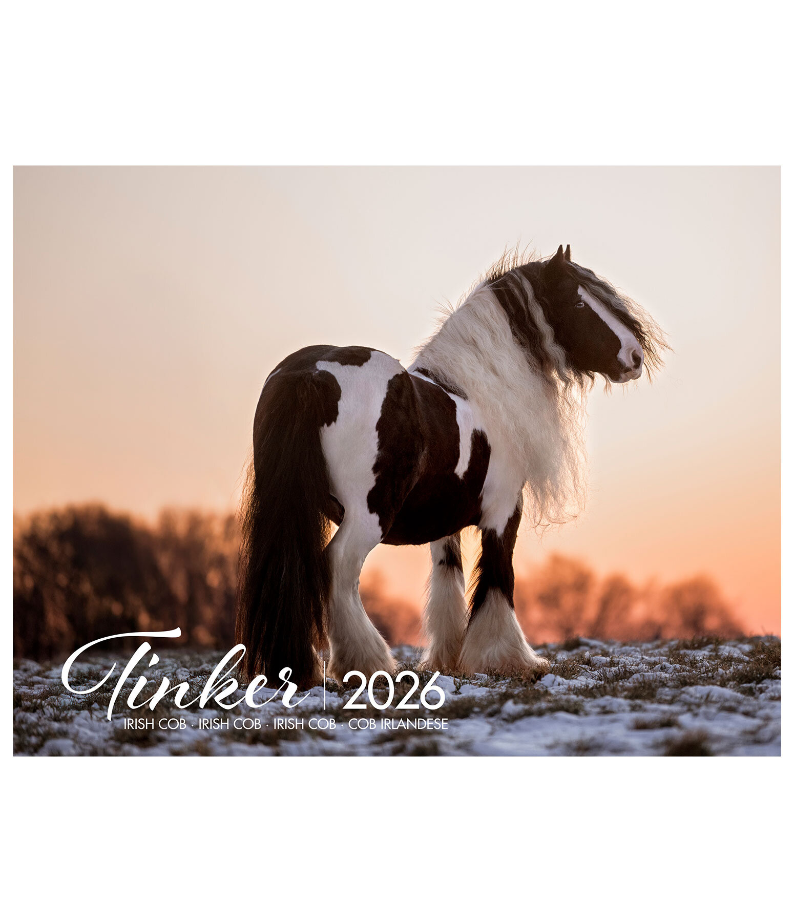 Calendario 2026 Cob Irlandese