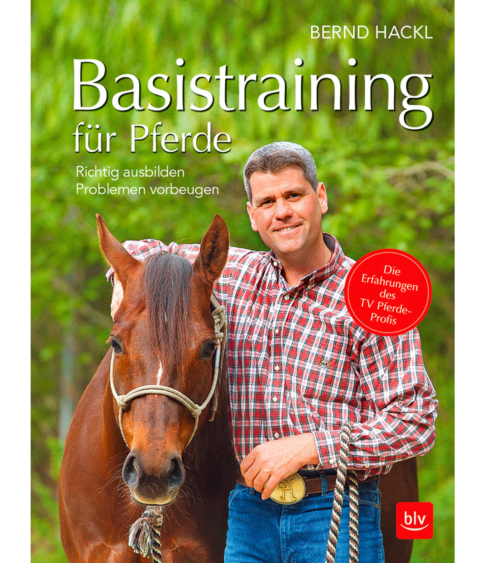 Basistraining für Pferde