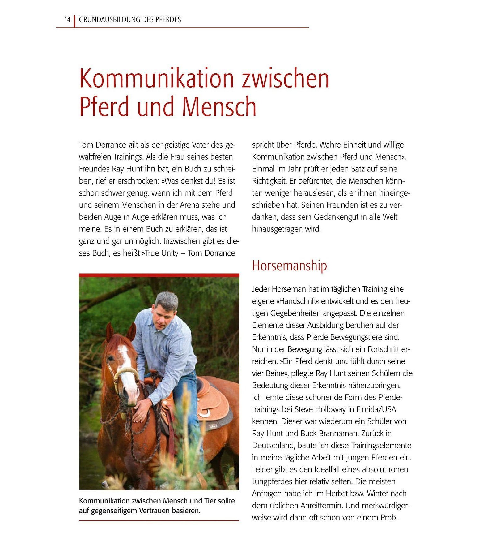 Basistraining für Pferde