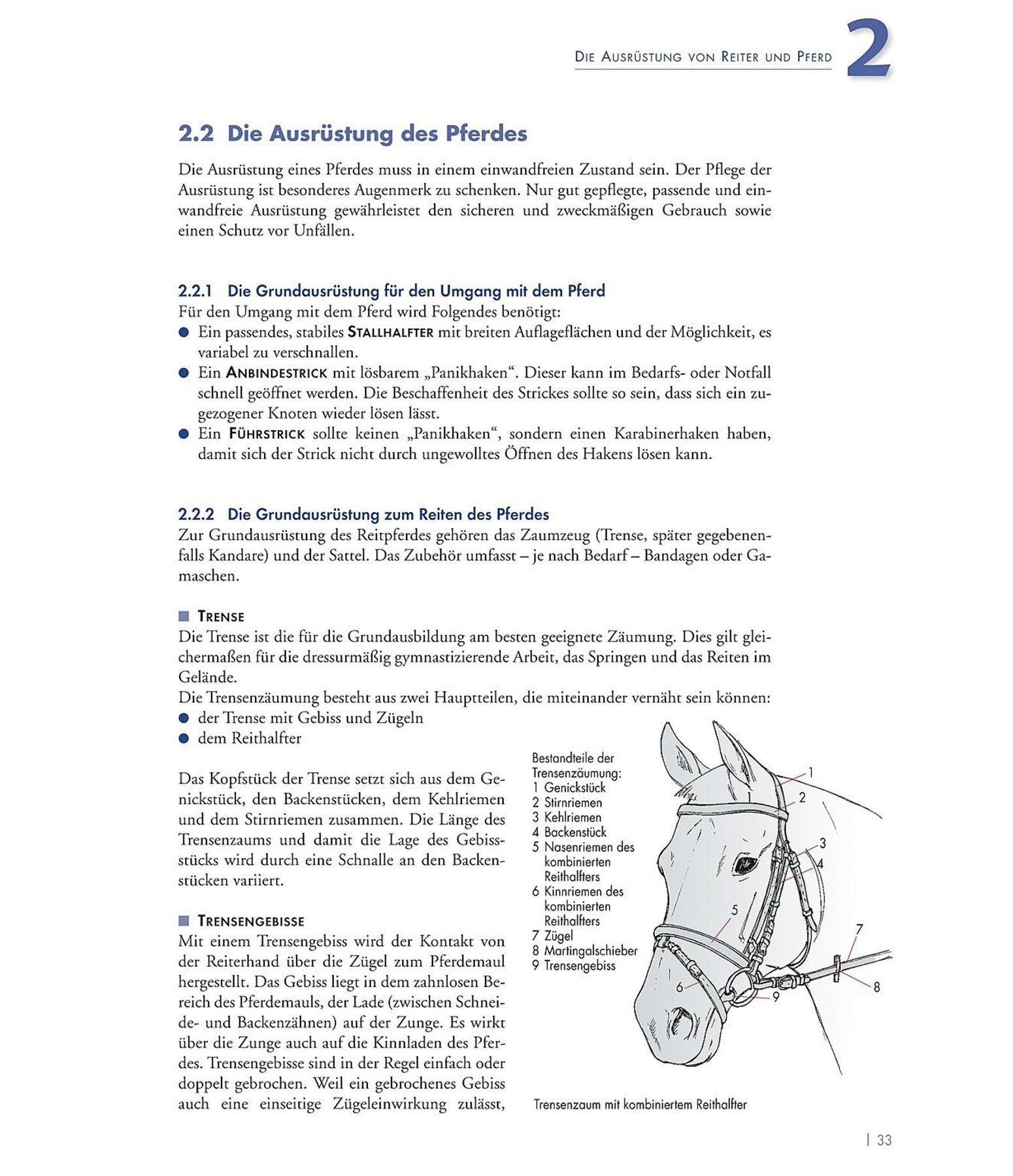 Band 1: Grundausbildung fr Reiter und Pferd Deutsche reiterliche Vereinigung