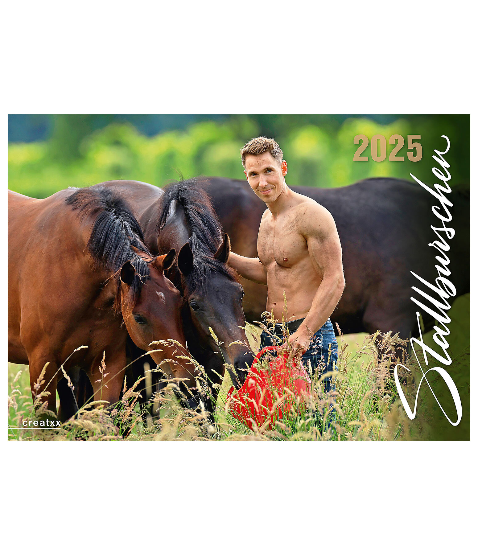 Calendario 2026 stallieri