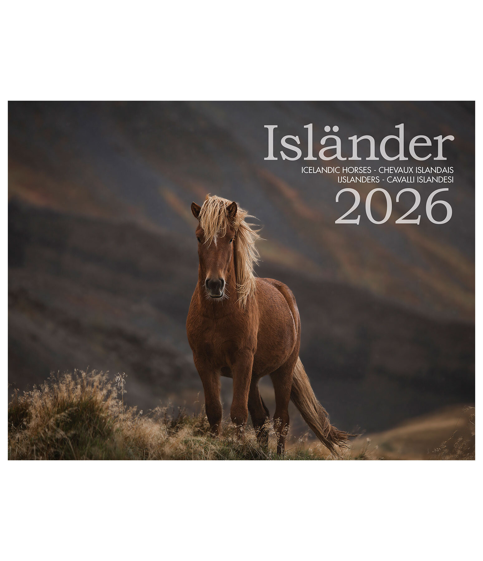Calendario 2026 cavalli islandesi