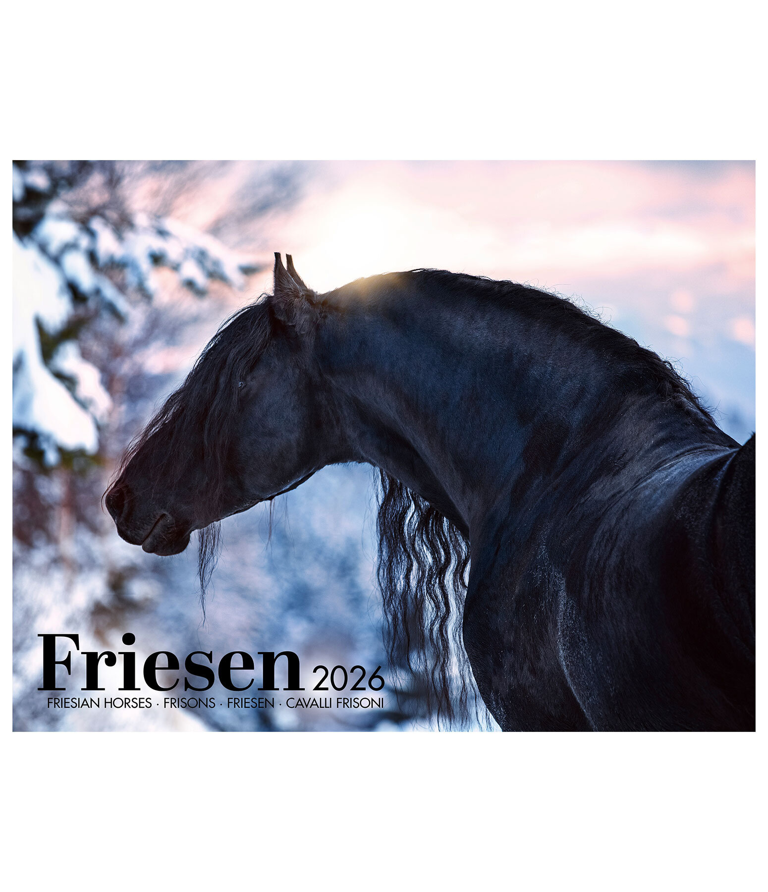 Calendario 2026 cavalli frisoni