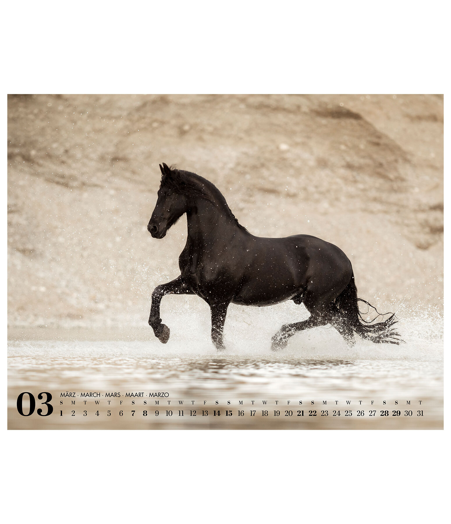 Calendario 2026 cavalli frisoni