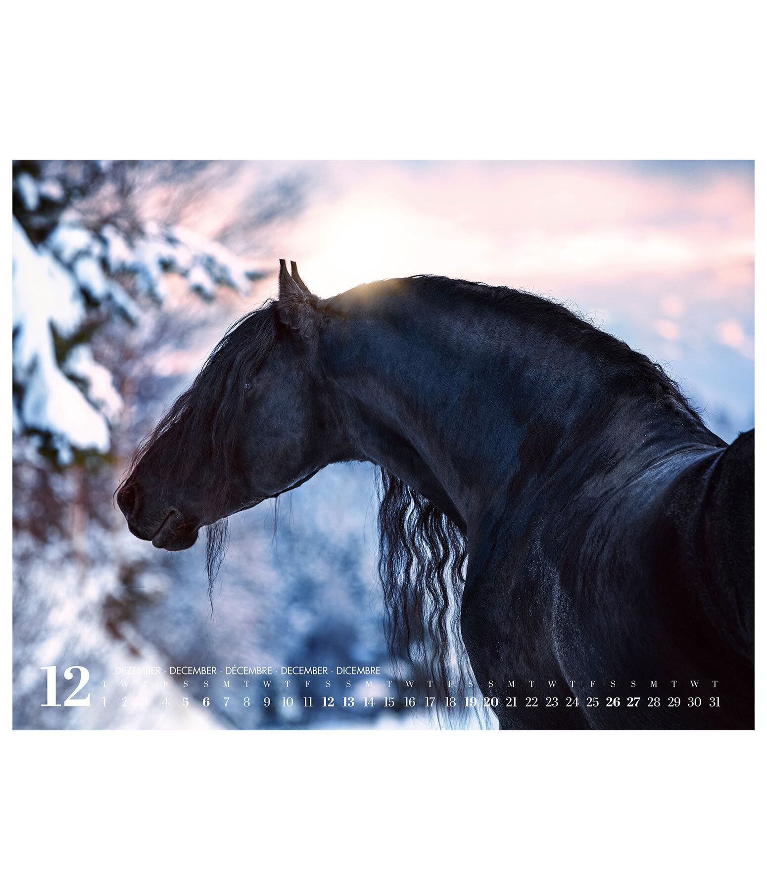 Calendario 2026 cavalli frisoni